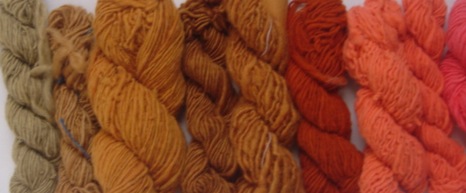 Plant Dyes Of Autumn Workshop This Weekend