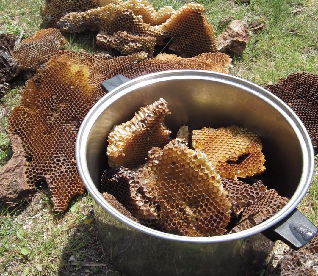 Showing some NATURAL BEESWAX and how its made in a nutshell 