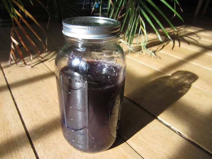 Jar of black bean dye water