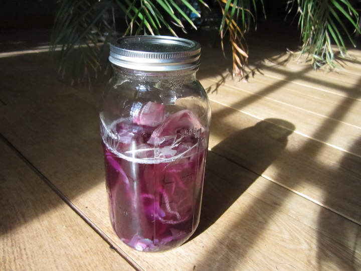 Red Cabbage Dye Bath