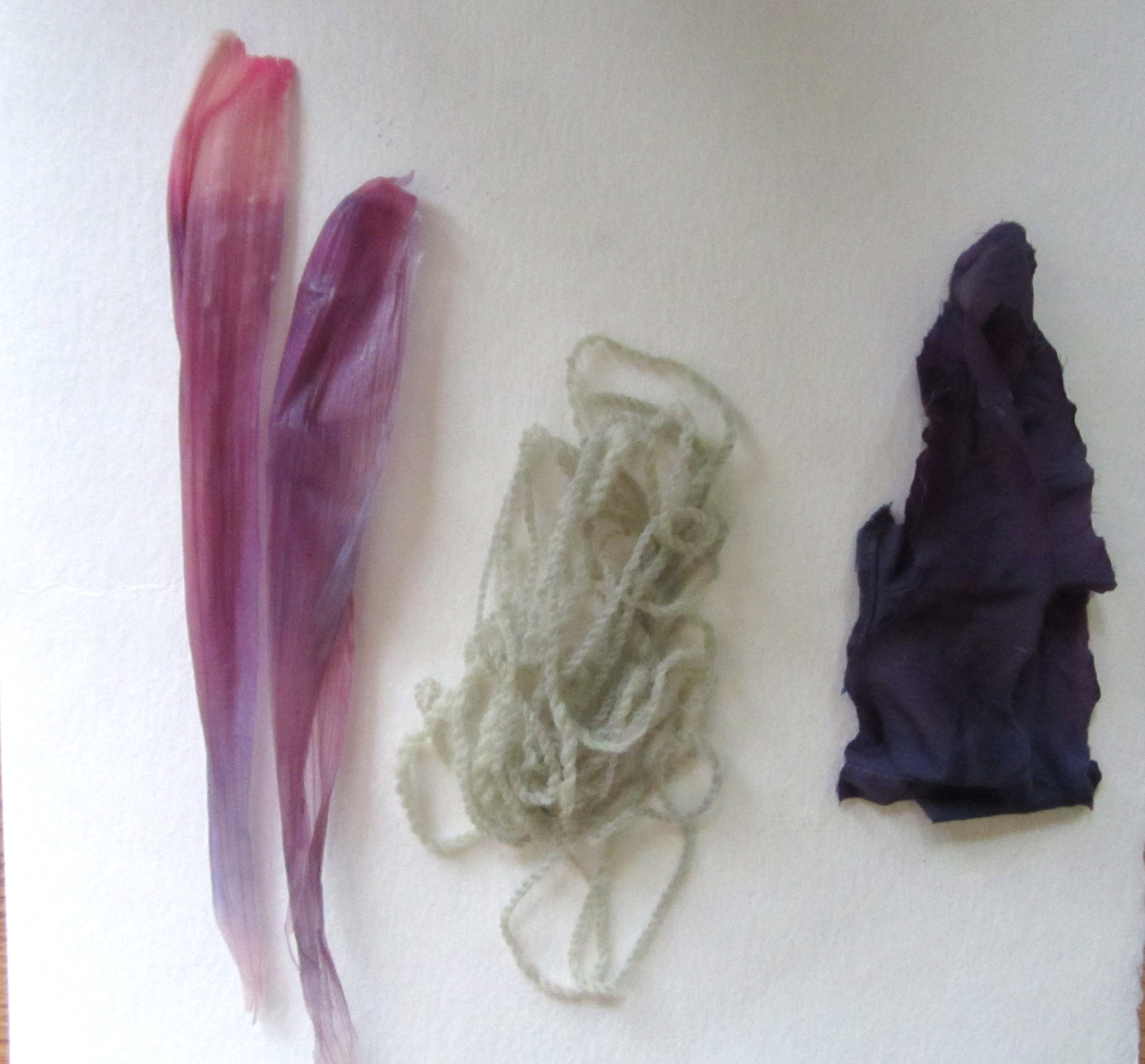 From right to left: cornhusks, wool, and silk dyed with red cabbage