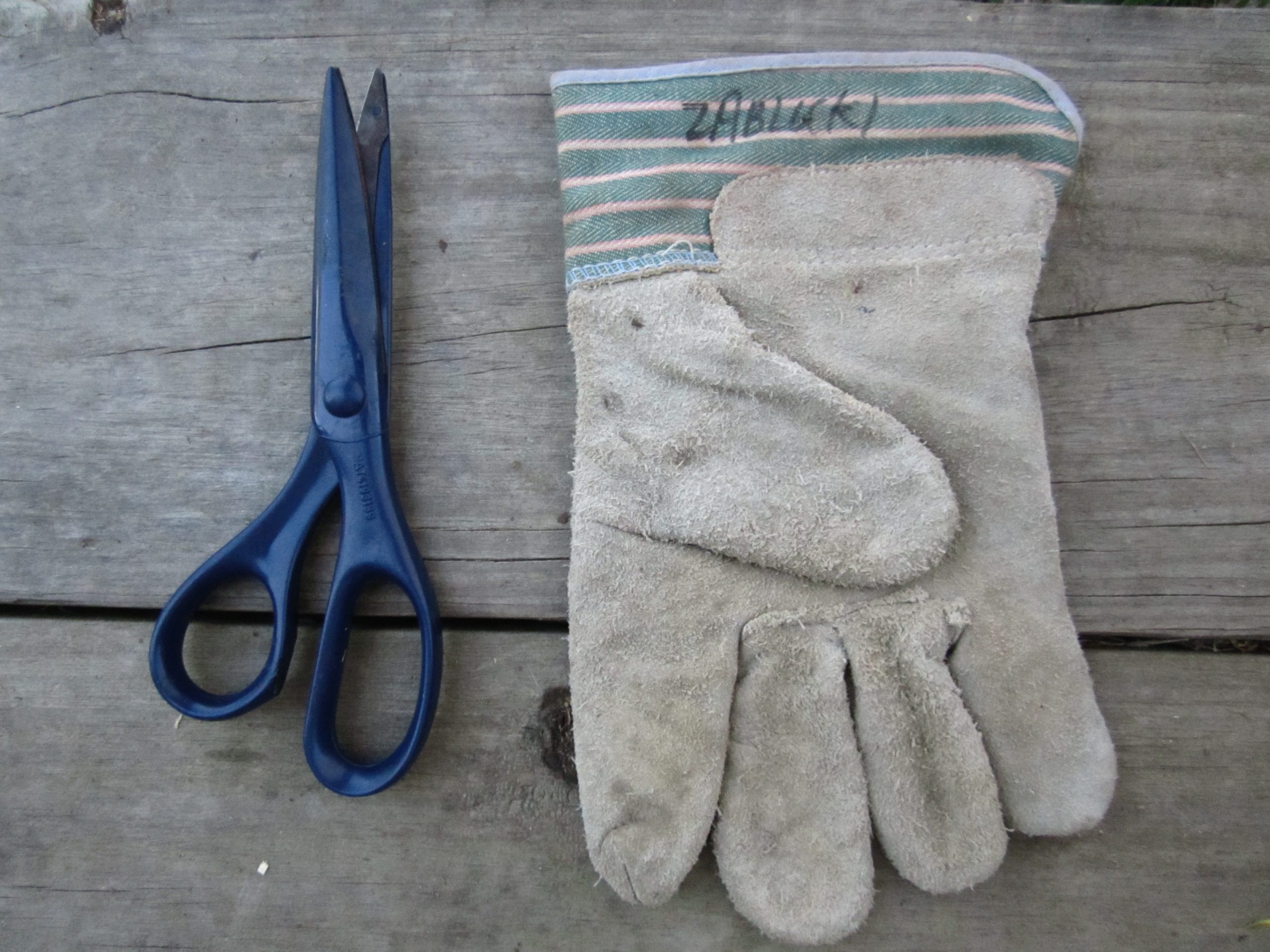 Celebrate Stinging Nettles: A Recipe for Nettle Dye!