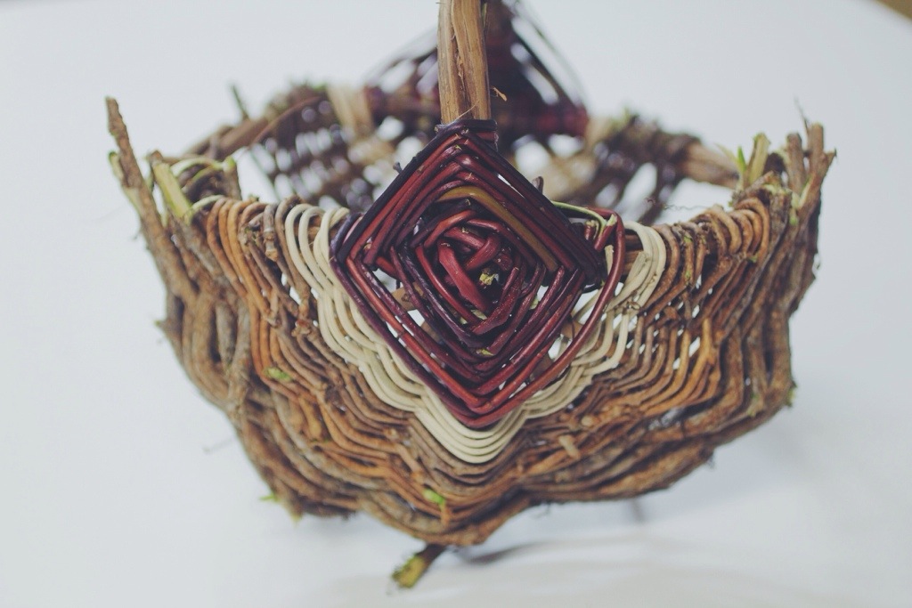 Wild Earth 2013 Basketry Series