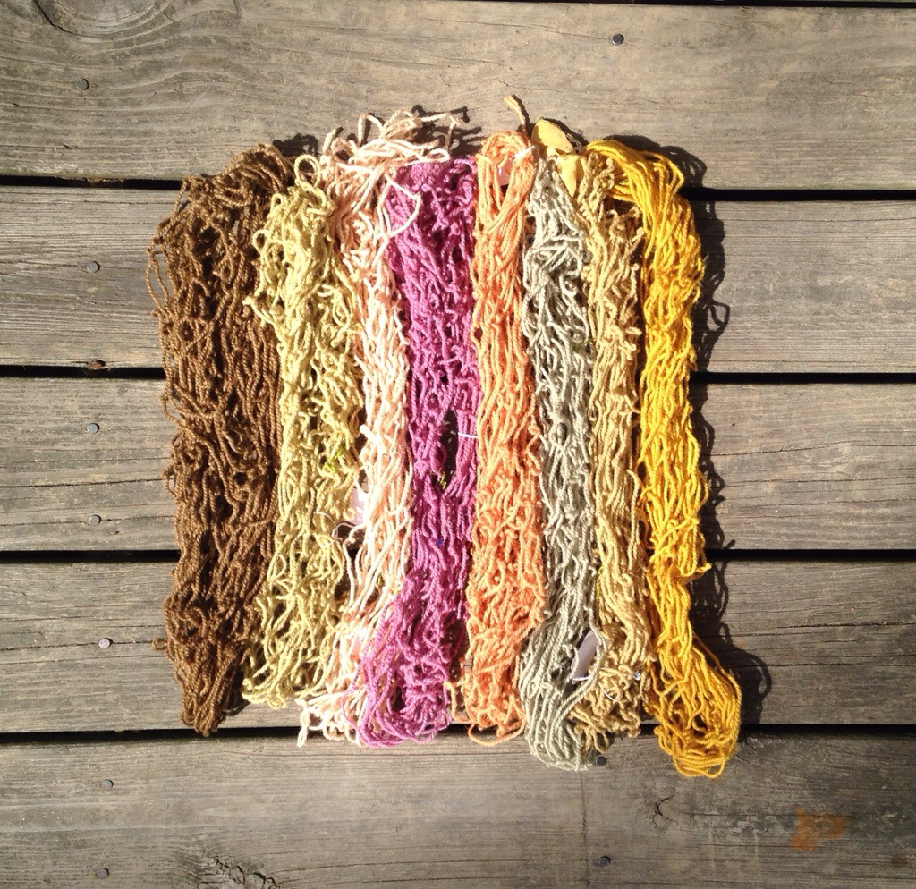 Processing Basswood Bark for Making Cordage and Baskets 