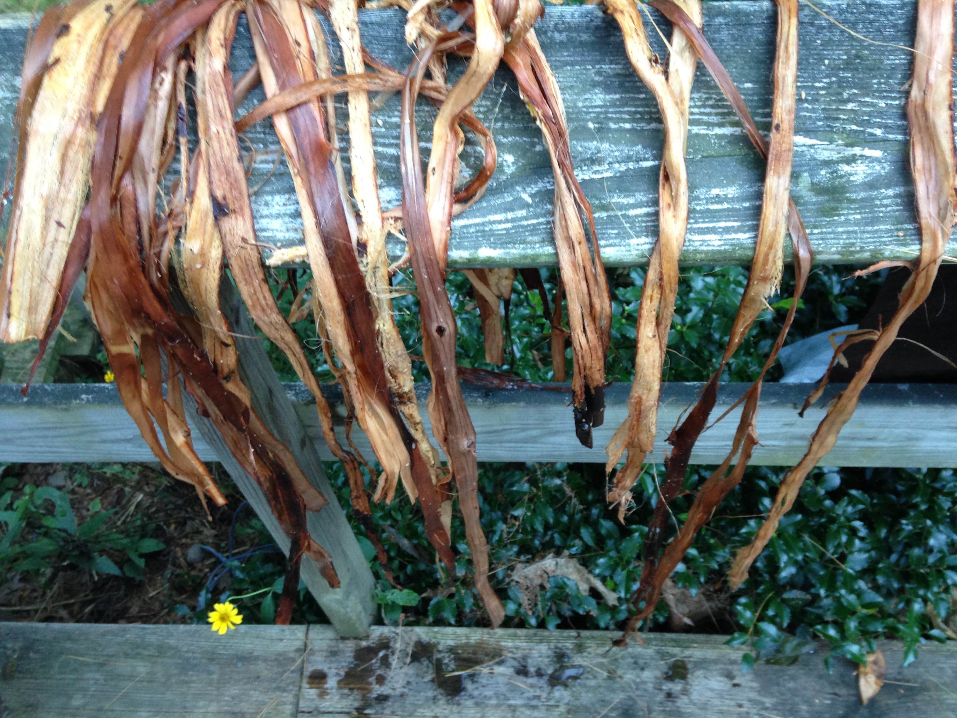 drying cordage