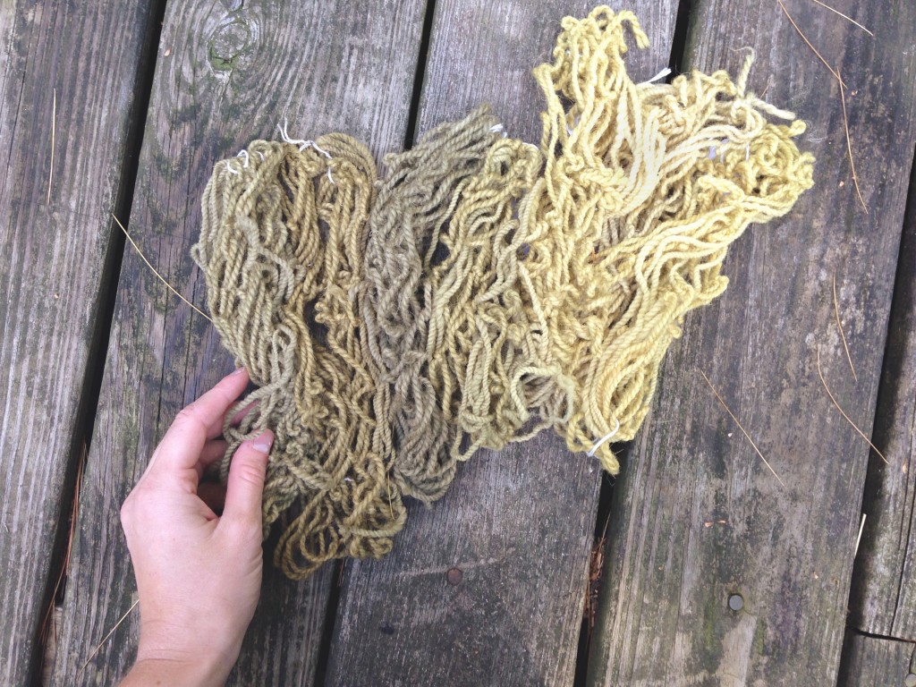 Experiments with Nettle Dye, Take Two