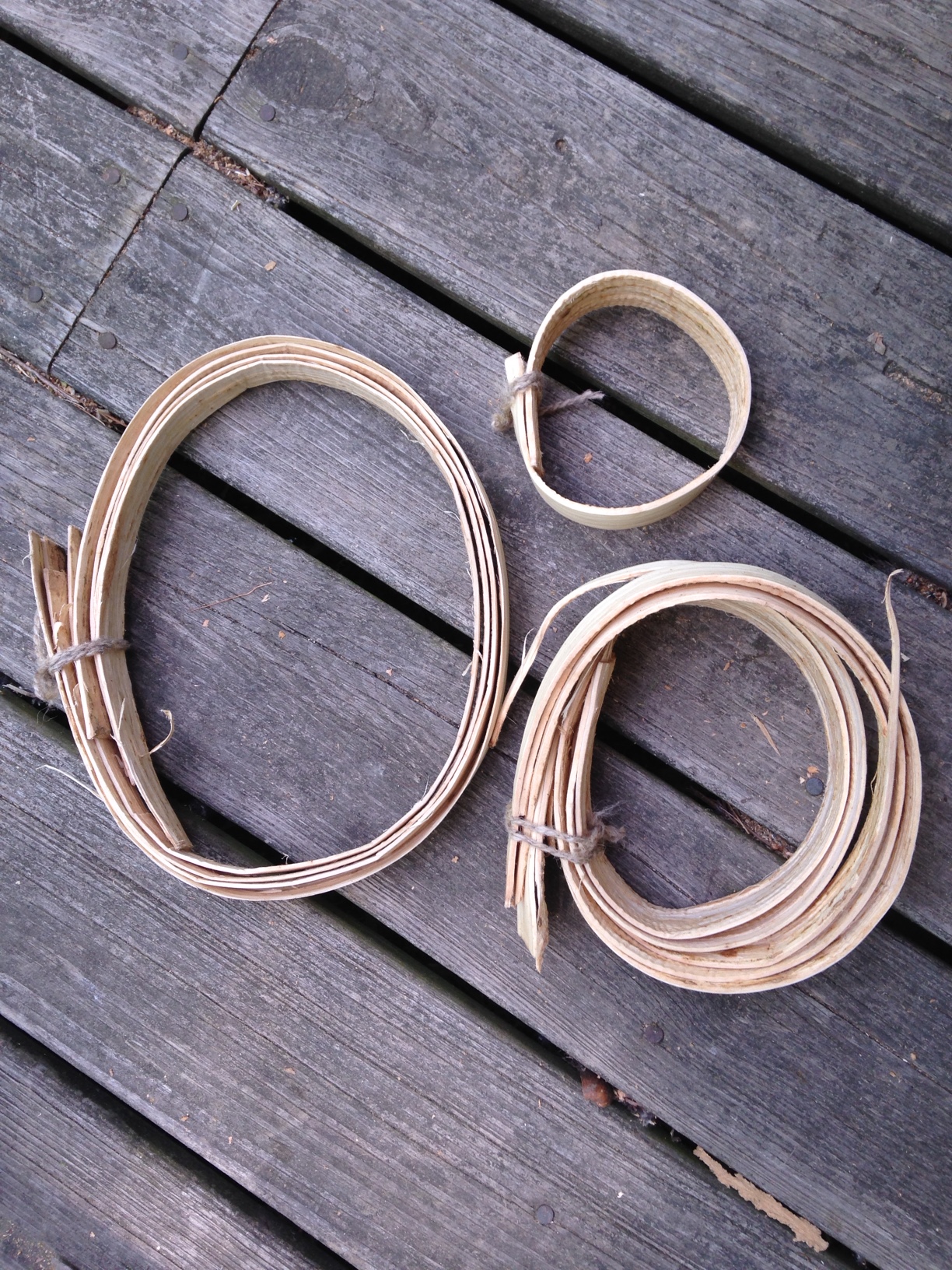 Processing Basswood Bark for Making Cordage and Baskets 