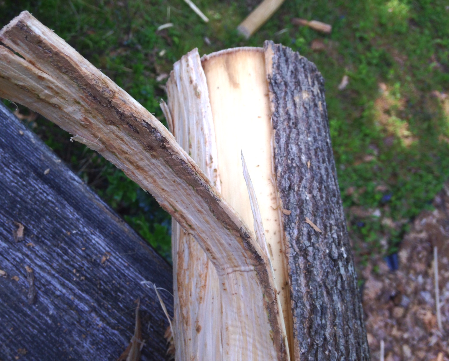 white ash basketry