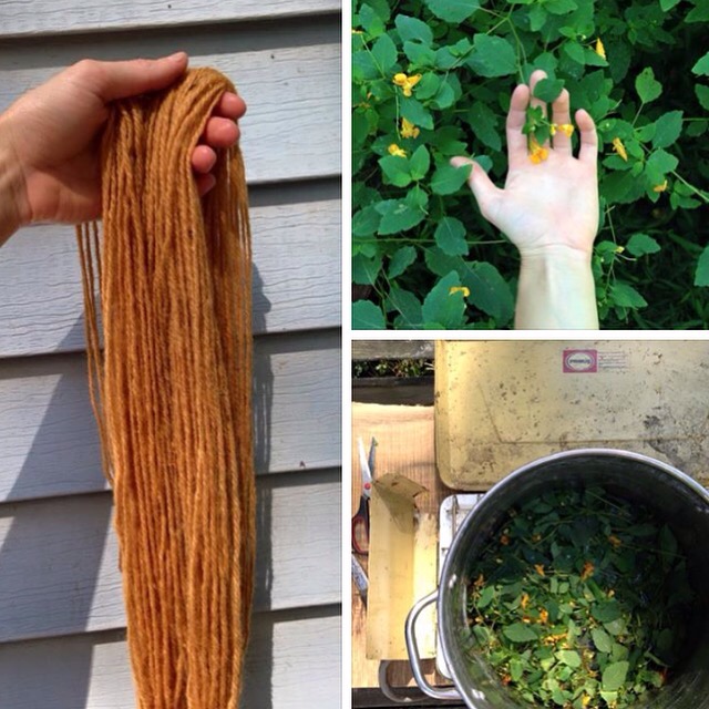 Plant Dye Recipe And Tutorial: How To Make A Jewelweed Dye