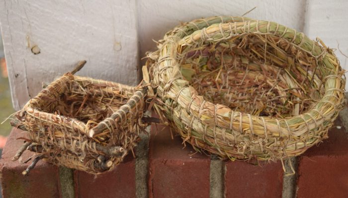 Backyard Basketry: Coiling With Cattails, Iris Leaves, And Leaves