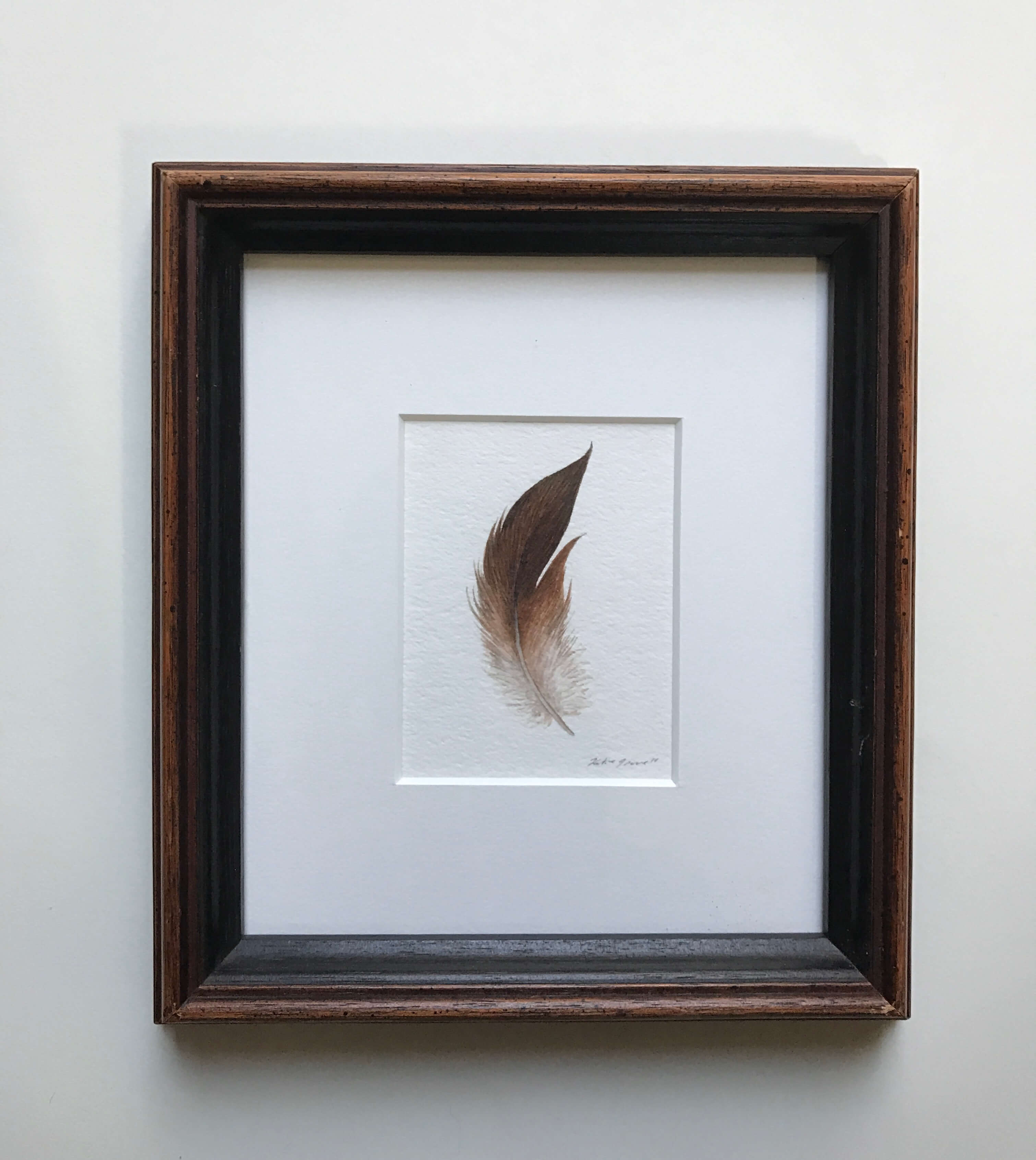 Auburn Feather/ Watercolor In A Vintage Gold Painted Frame/ 7 1/4" X 8 1/4" / $135