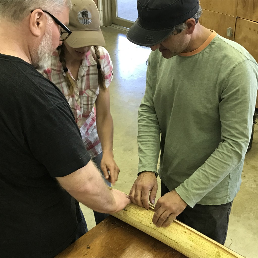 Peeling The Mimosa Bark