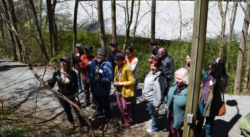 Our Reading The Landscape Walk