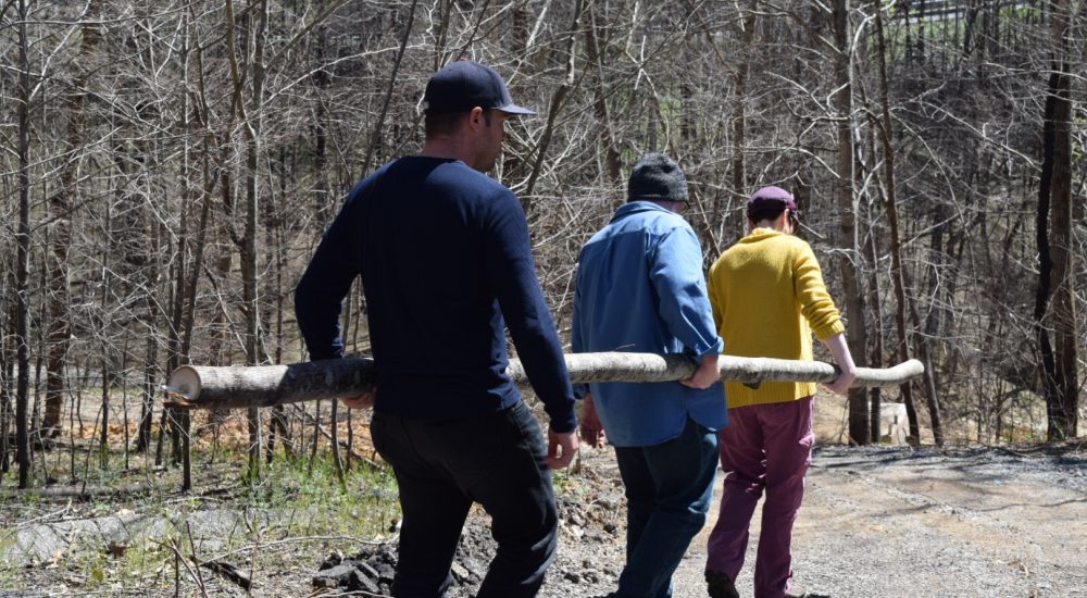 Carrying The Poplar Back