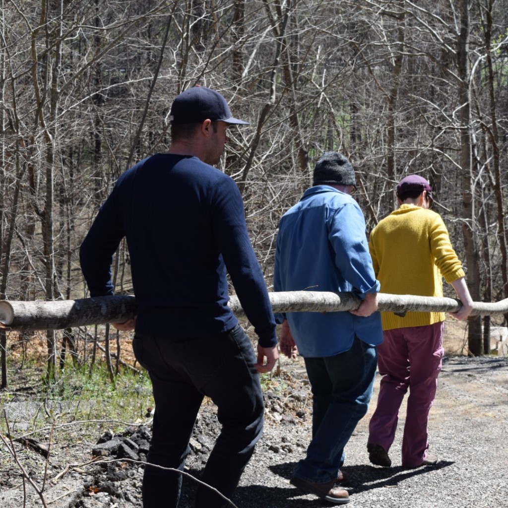 Carrying The Poplar Back