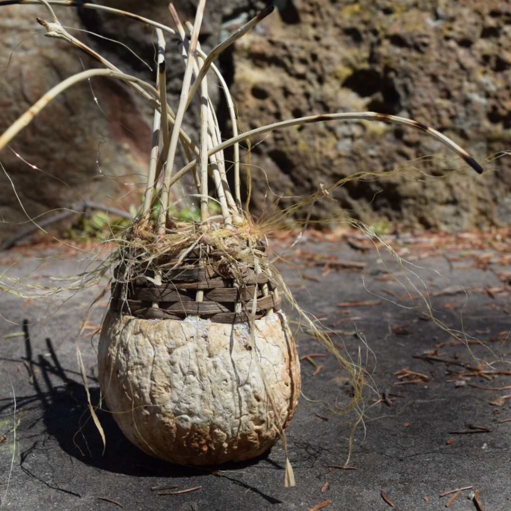 A Beautifully Creative Piece With A Found Object Base And Black Walnut Bark