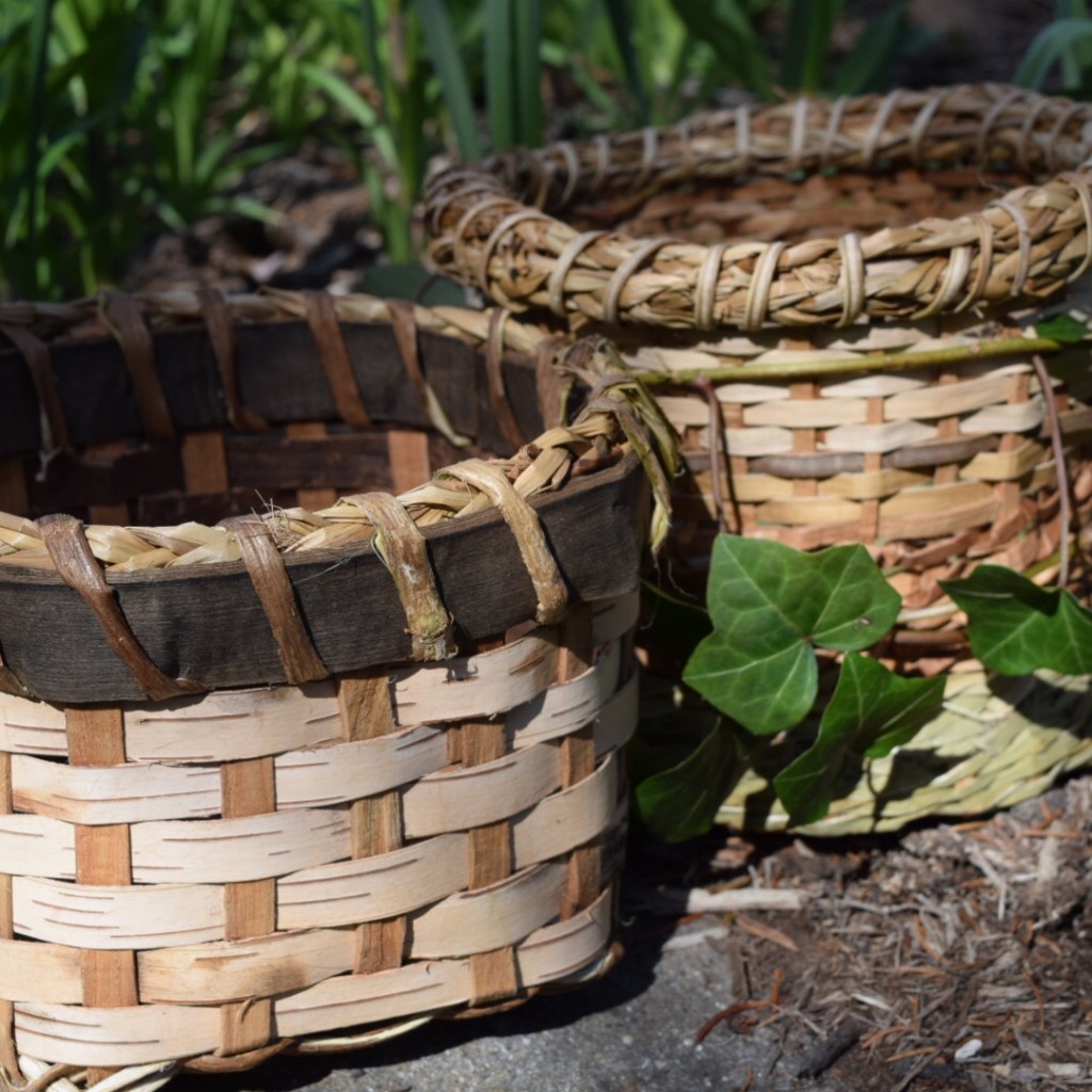 Birch Bark With A Black Walnut Rim