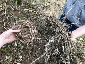 Two piles of roots!