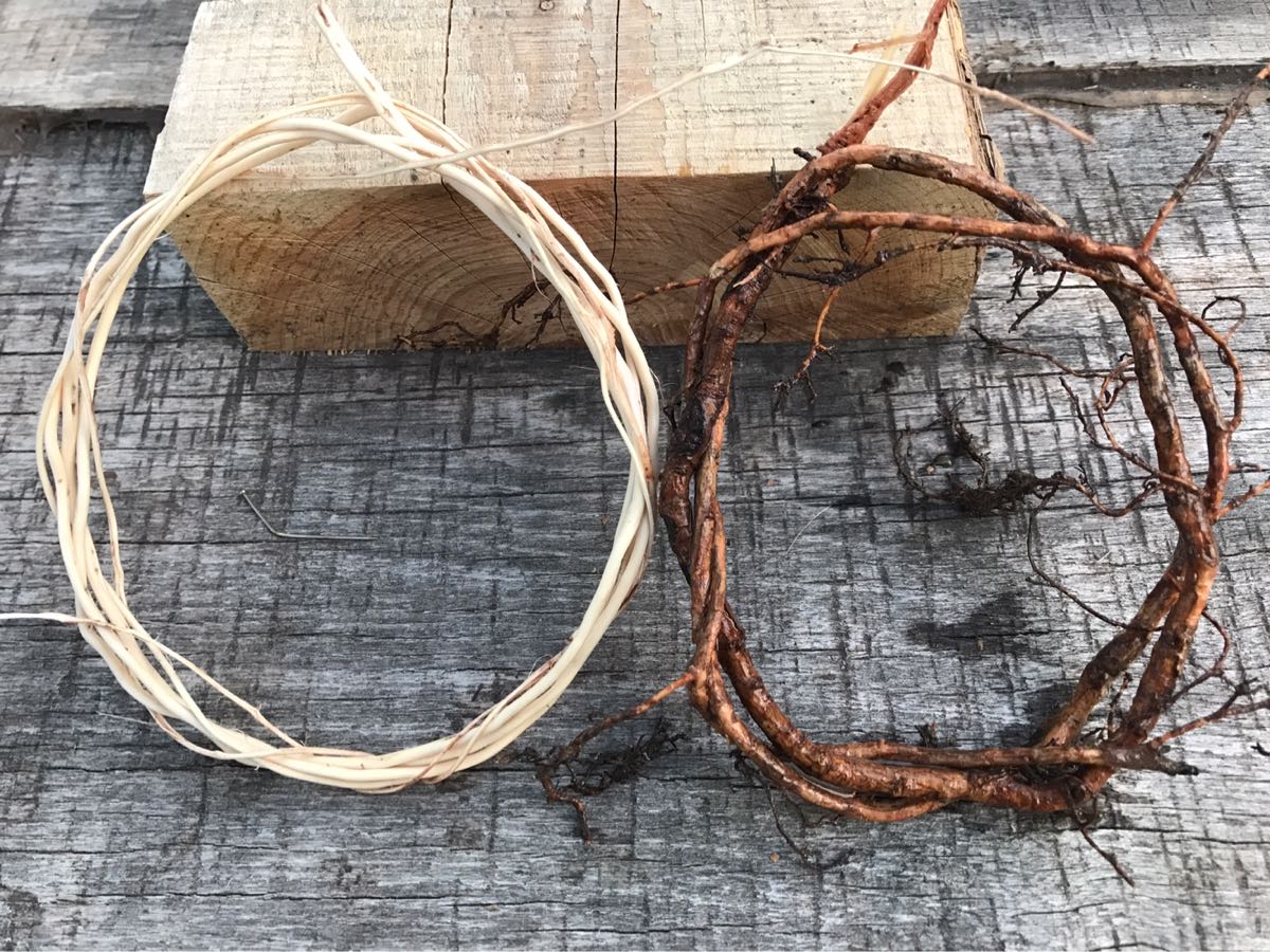 Digging Into Roots: How to Harvest Spruce Roots for Basketry