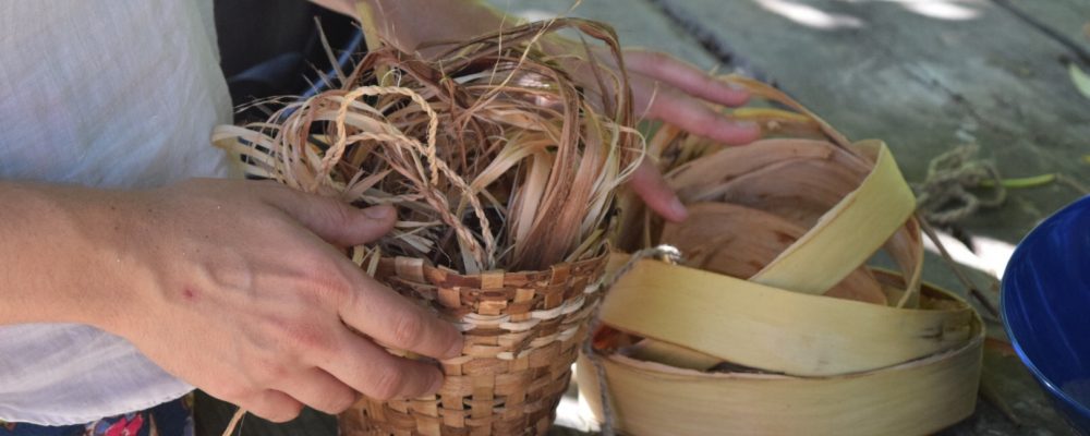 Willow Basket Weaving Workshop – The Wild Stuff