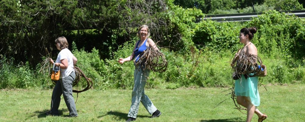 Grapevine Harvest For Frame Baskets