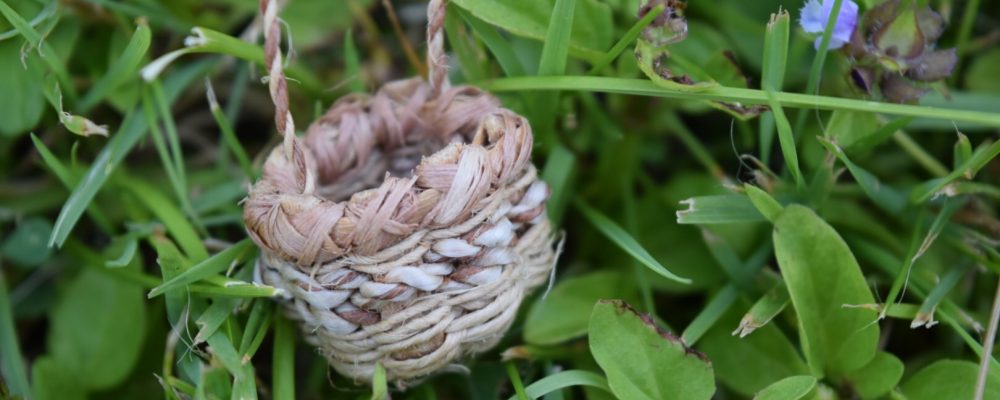 Tiny Basket In The Grass