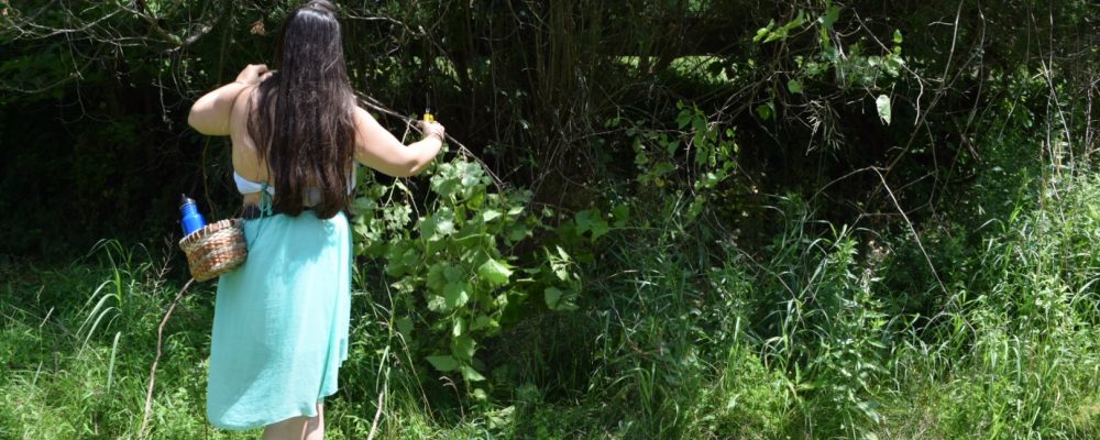 Gathering Grapevine For Basket Weaving Tree 03