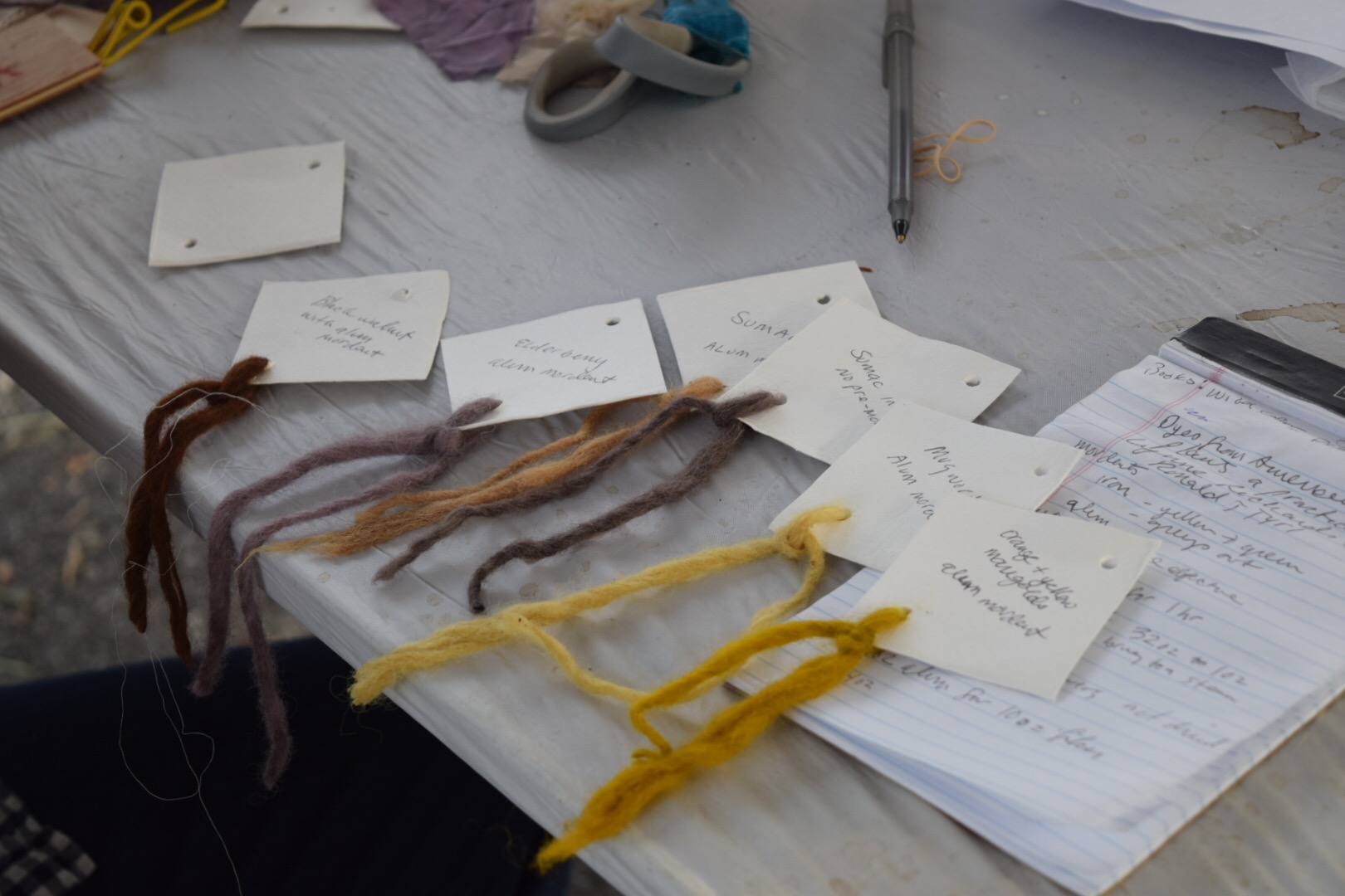 Marigolds, Sumac, and Black Walnuts Plant Dye at the 2018 NYS