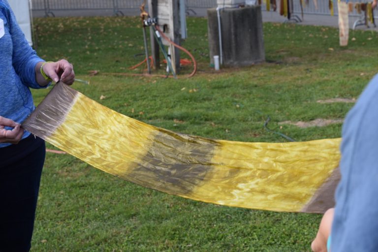 Marigolds, Sumac, and Black Walnuts Plant Dye at the 2018 NYS