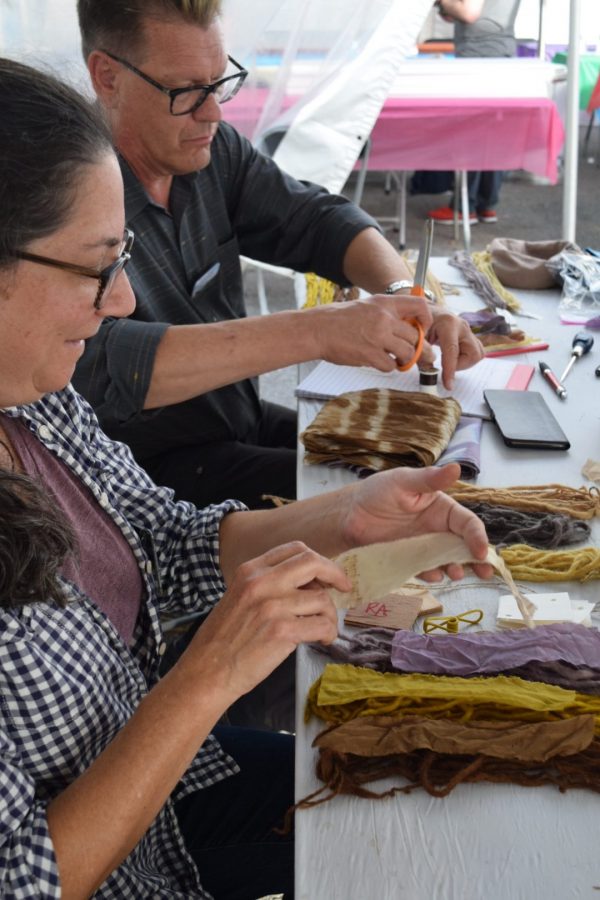 Marigolds, Sumac, and Black Walnuts Plant Dye at the 2018 NYS