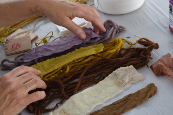 Marigolds, Sumac, and Black Walnuts: Plant Dye Workshop at the 2018 NYS ...