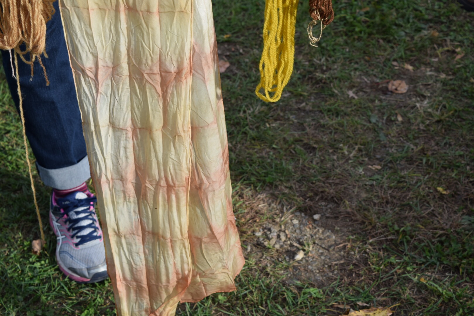 Marigolds, Sumac, and Black Walnuts Plant Dye at the 2018 NYS