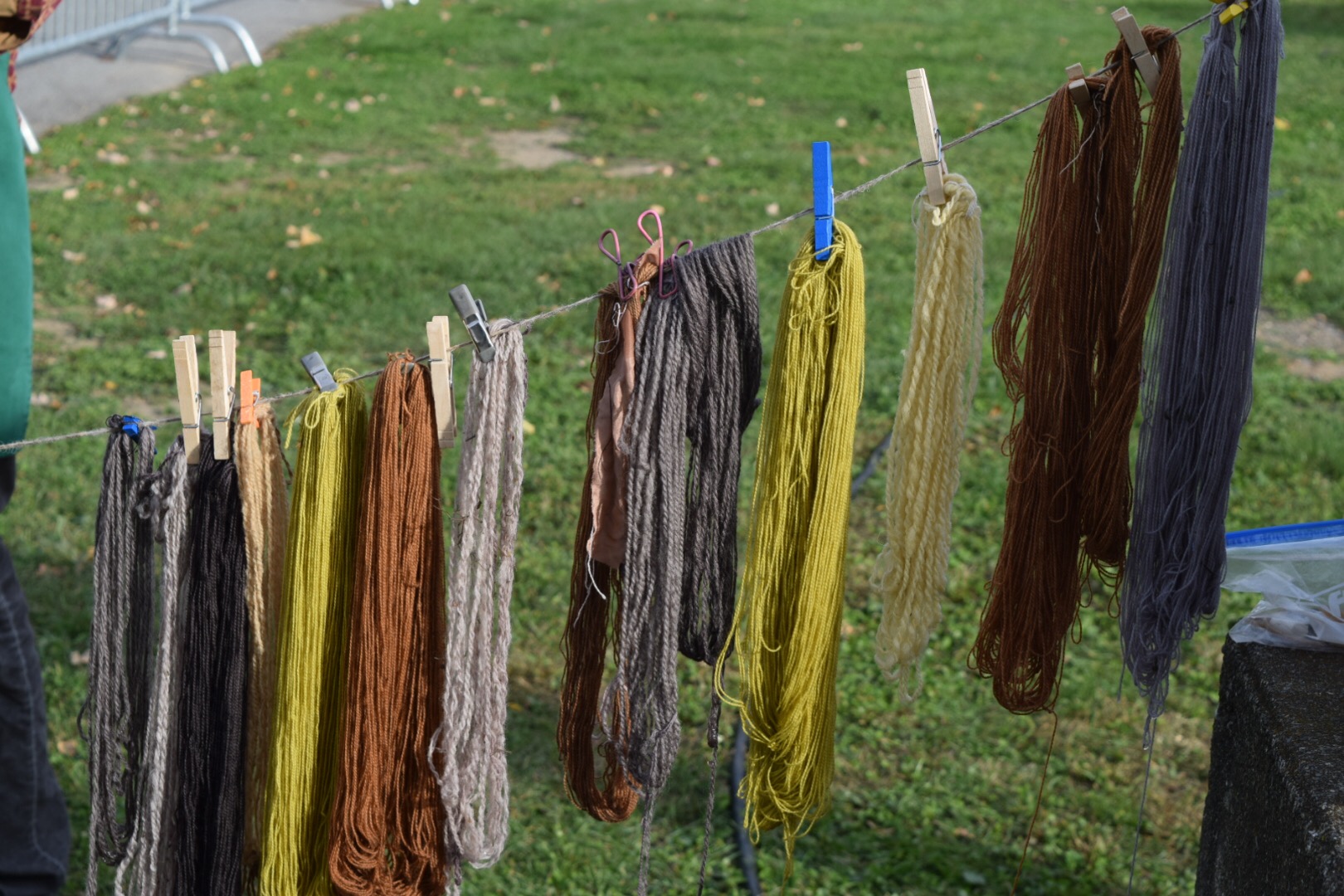 Marigolds, Sumac, and Black Walnuts Plant Dye at the 2018 NYS