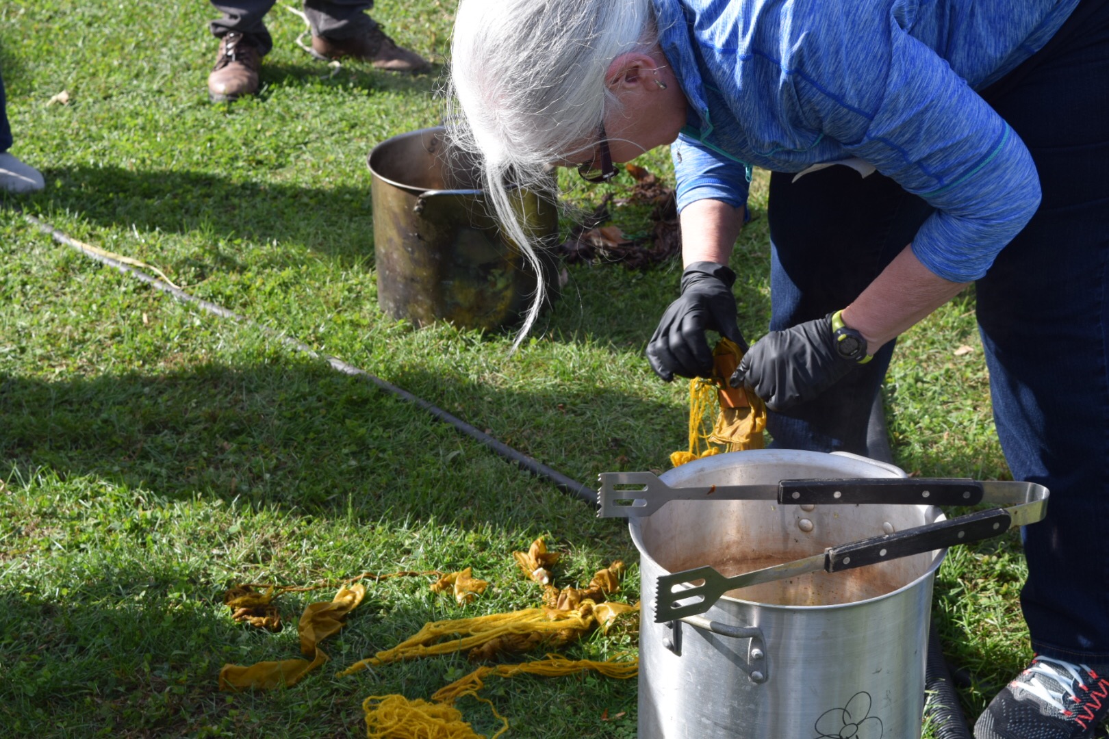 Marigolds, Sumac, and Black Walnuts Plant Dye at the 2018 NYS