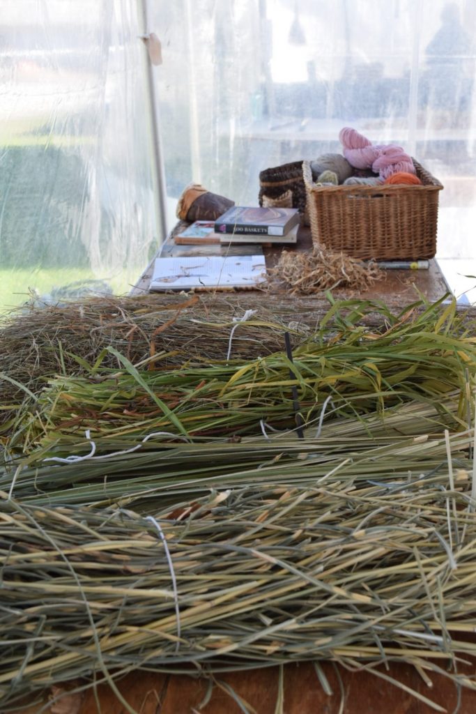 grasses ready to be made into baskets