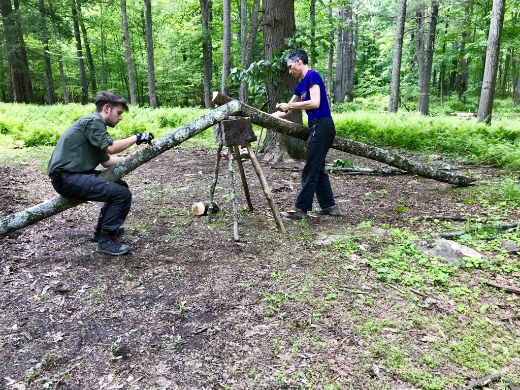 Removing the bark for me basswood tree with a drawknife