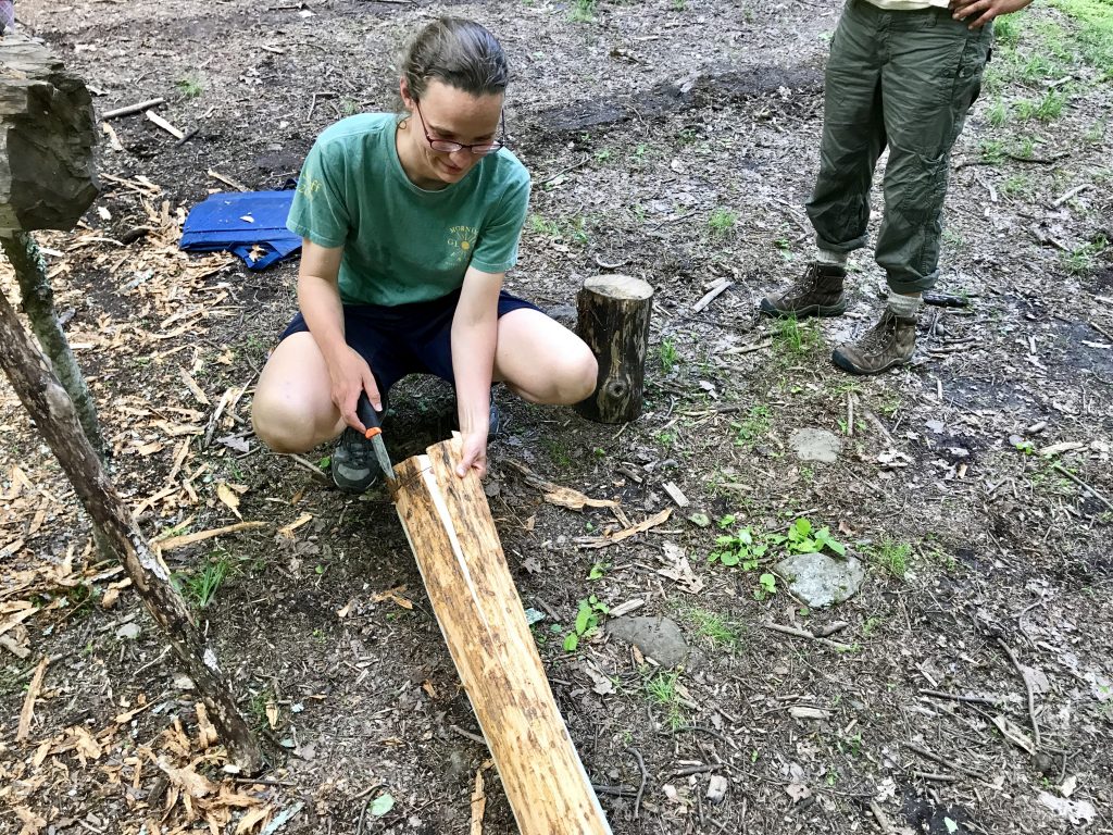 Peeling a basswood log