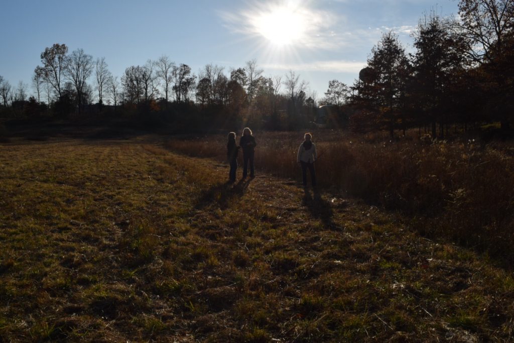 harvesting dogbane during the November mentorship program