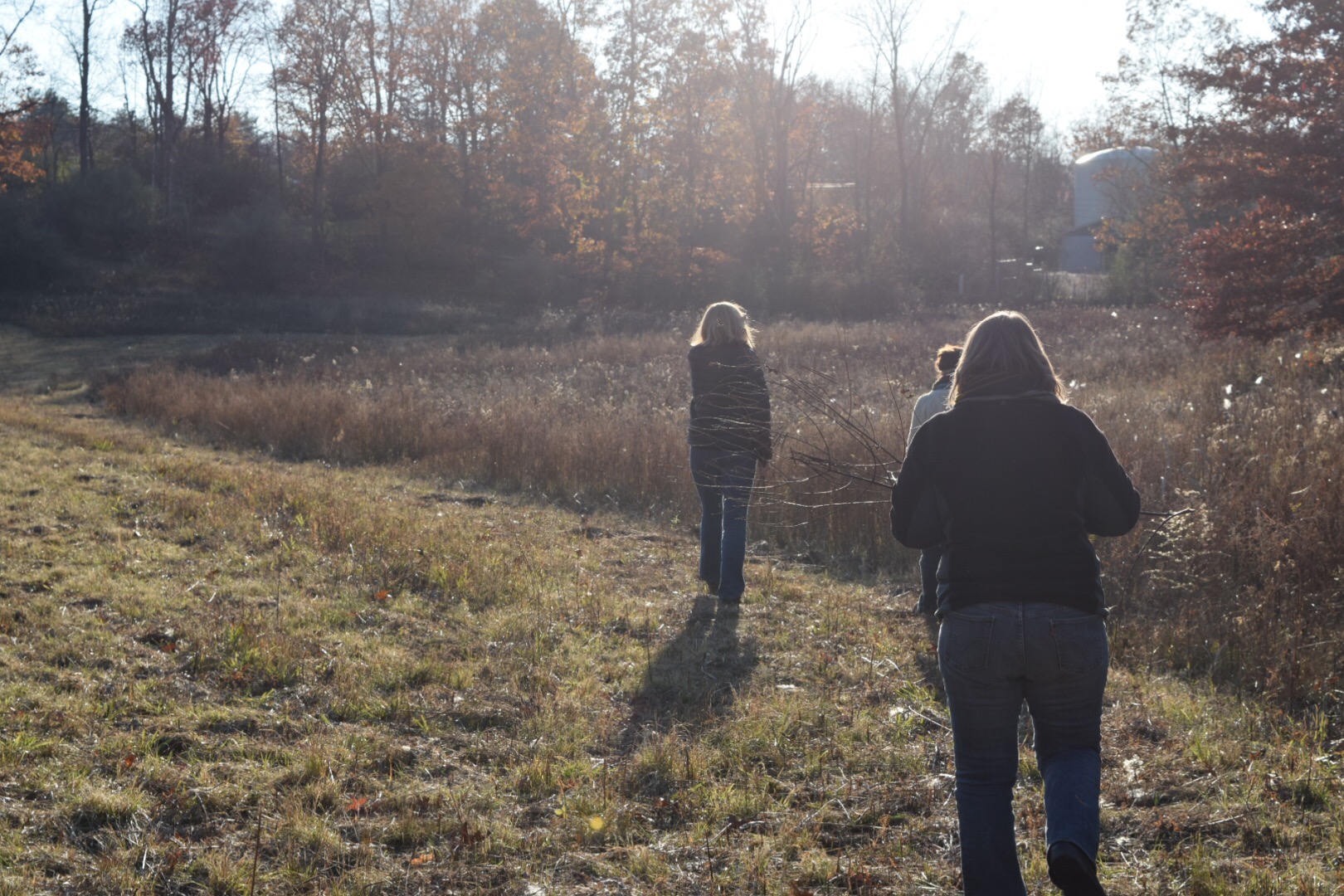 A Month in the Life of a Basket Maker – The November Dogbane Harvest