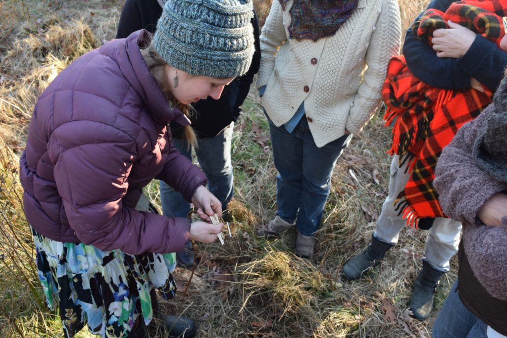 demonstrating the processing of dogbane stalks