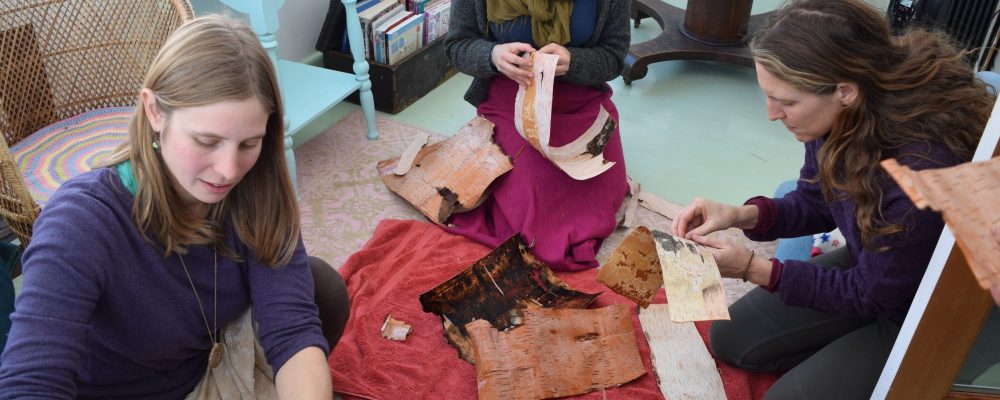 Working With Pieces Of Birch Bark For Weaving