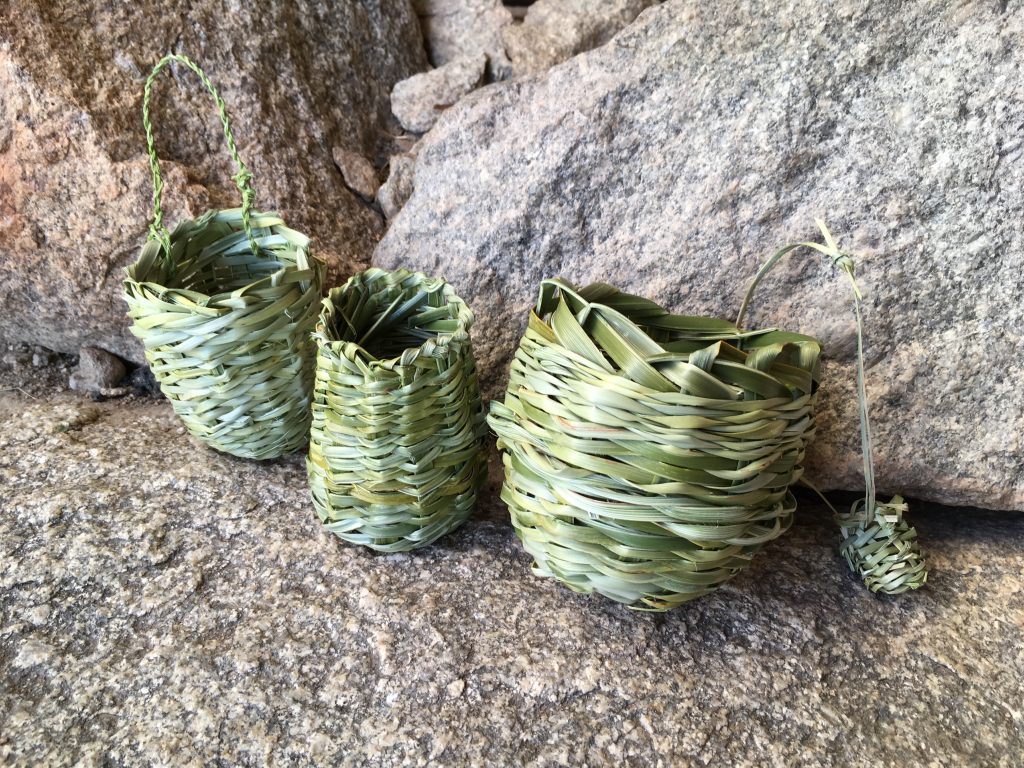 Twined beargrass baskets made by me and a friend at Granite Mountain, AZ