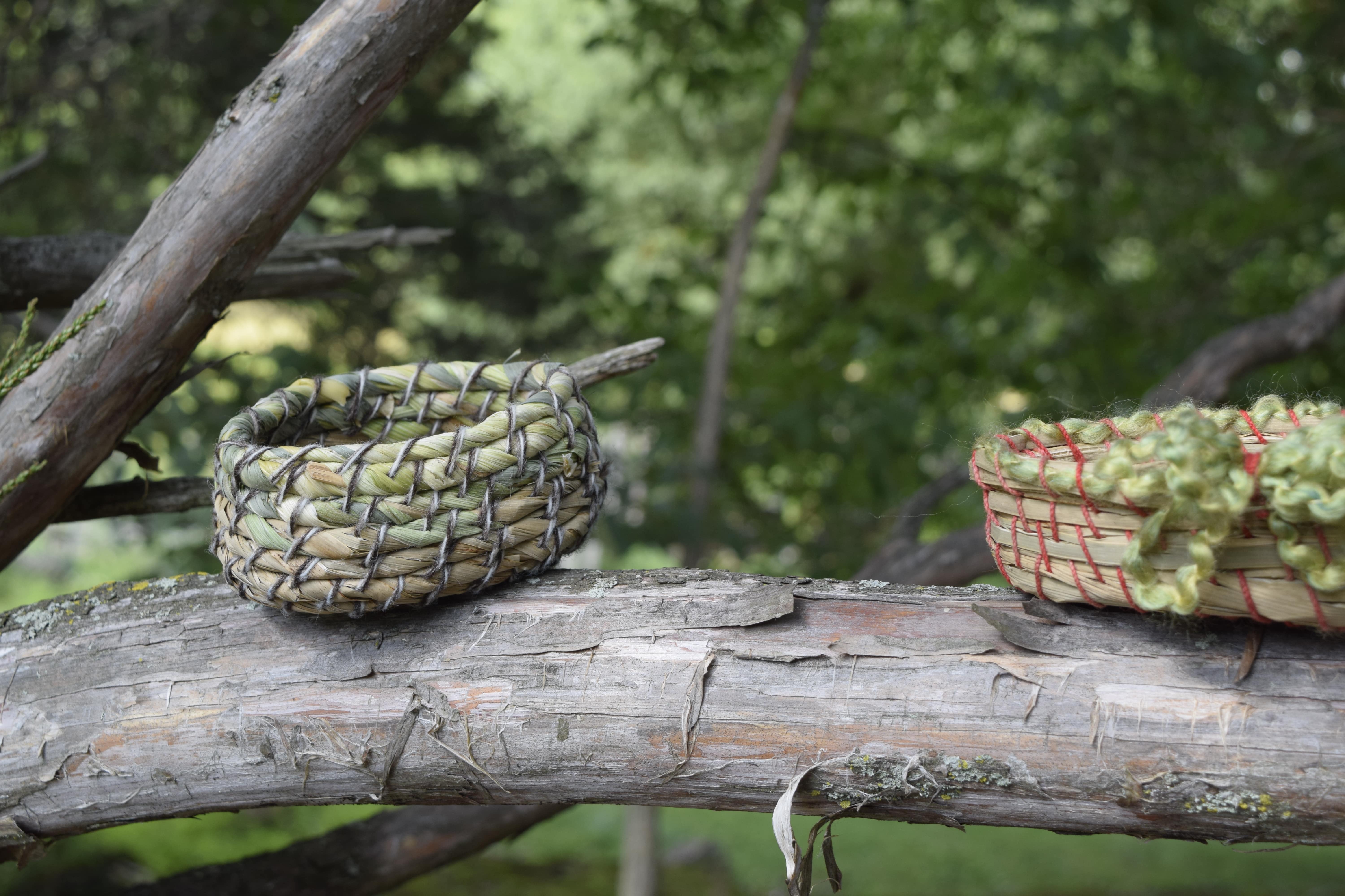 coiled basket on a tree limb