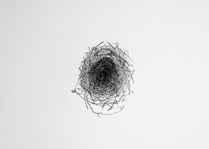 Language Of The Nest I. Pen On Rives Heavyweight, 22″ X28″