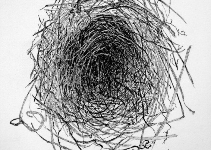 Language Of The Nest I  Detail