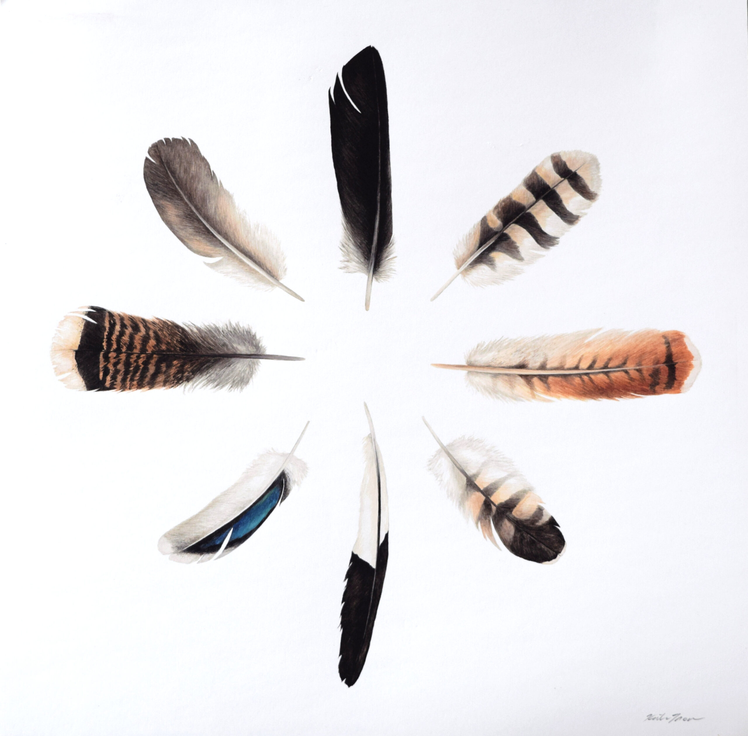 Feather Circle, 2018, watercolor, 24″ x 24″
